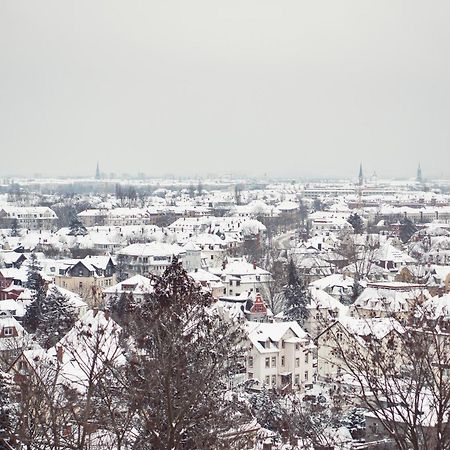 Bergwirtschaft Wilder Mann Hotel Und Restaurant Дрезден Екстериор снимка