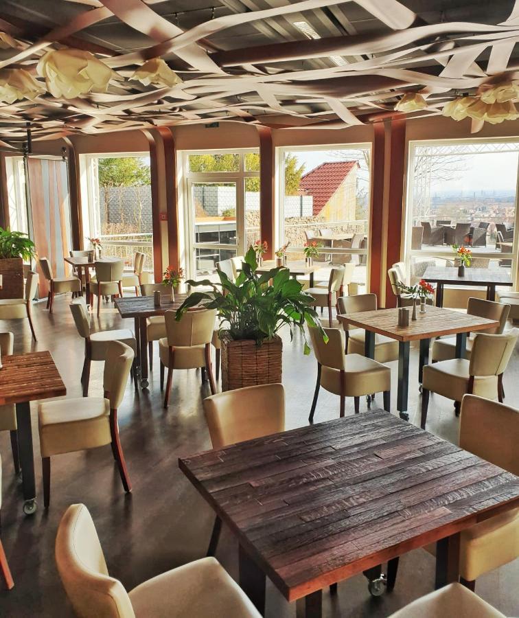 Bergwirtschaft Wilder Mann Hotel Und Restaurant Дрезден Екстериор снимка